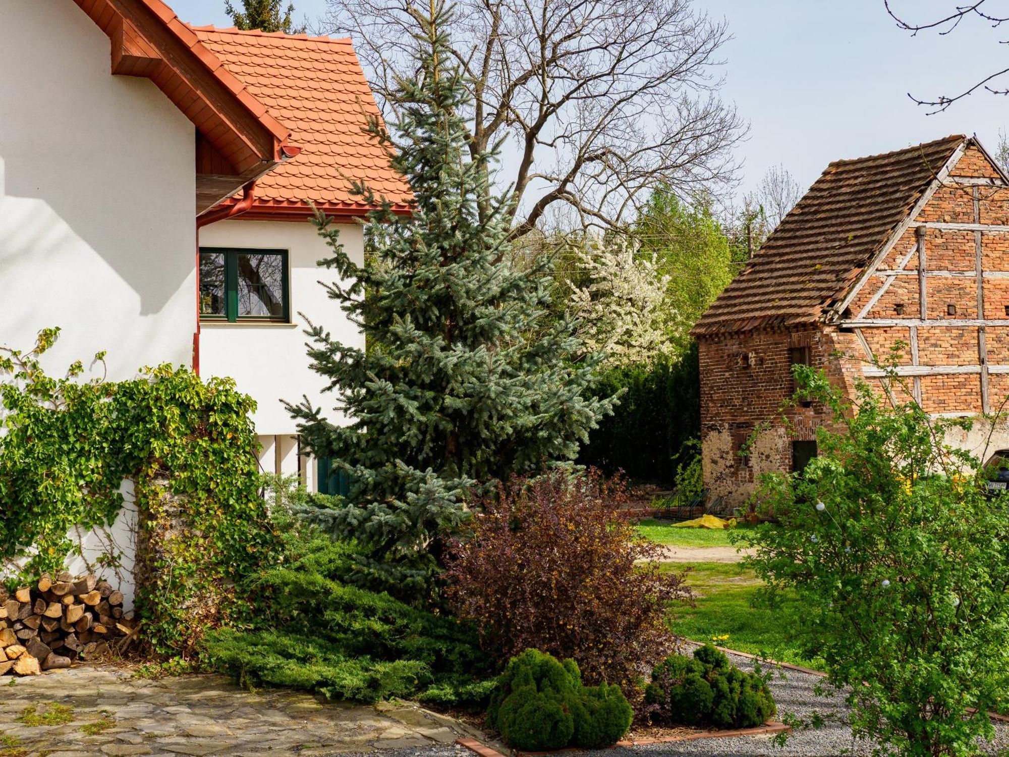Plonica 1 Hotel Złoty Stok Екстериор снимка